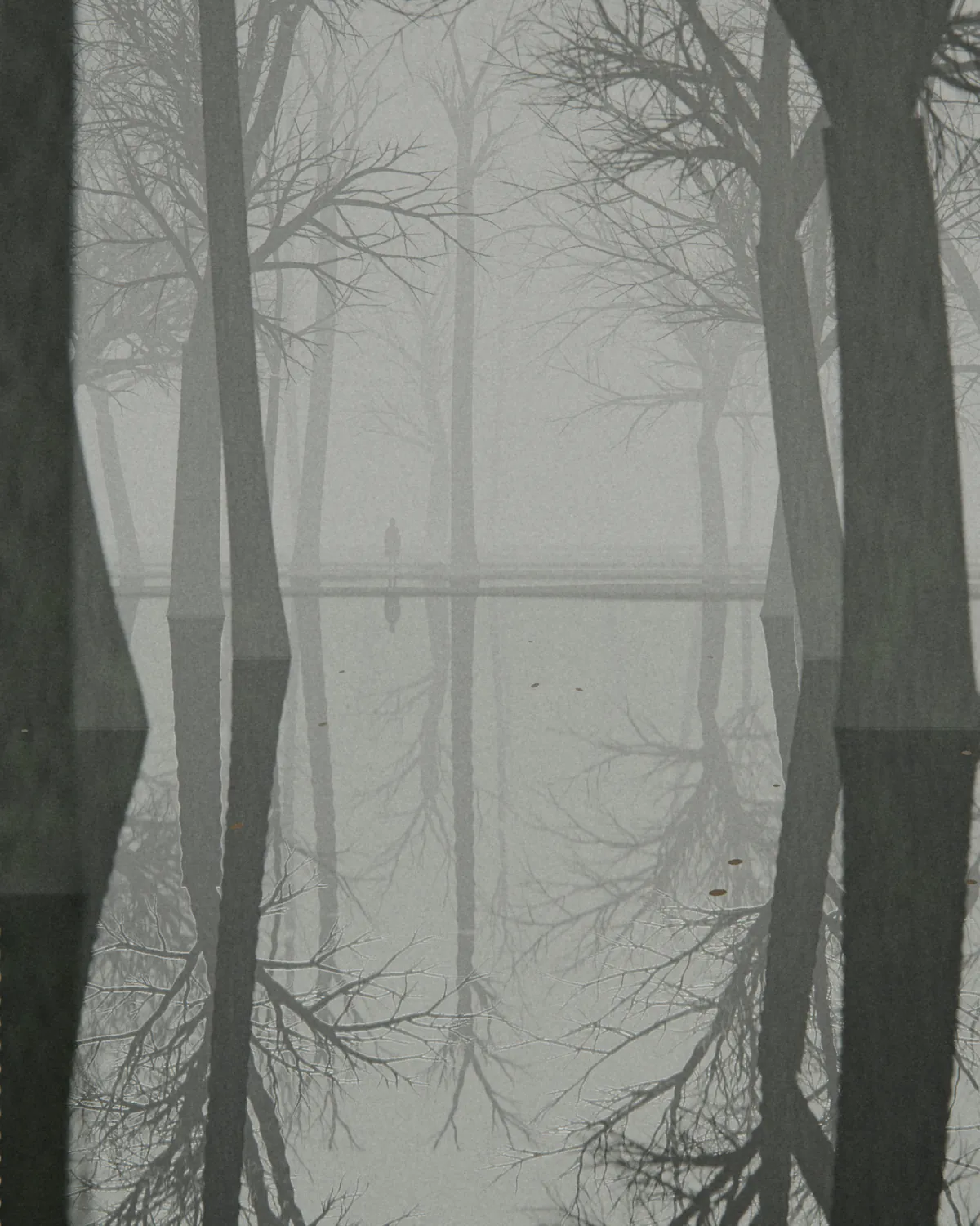 Sous-bois noyé par la crue dans la brume du matin : troncs et branches doublés par l’eau immobile ; au loin, une silhouette minuscule se tient au bord de l’eau.